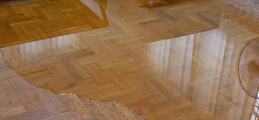 Laminate Wood Floor Water Damage Repair in Master