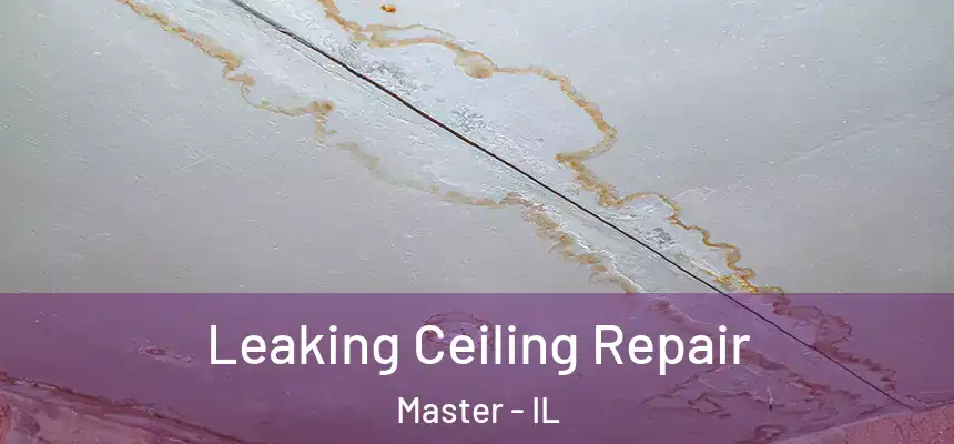 Leaking Ceiling Repair Master - IL