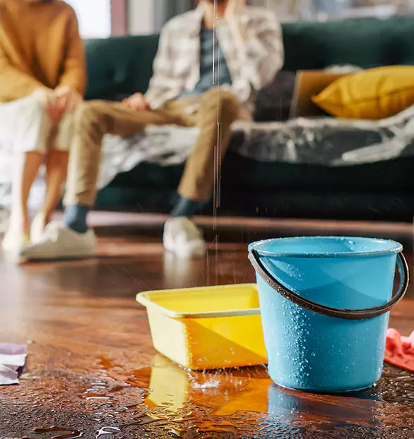 Reliable Water Mitigation Company in Master, IL