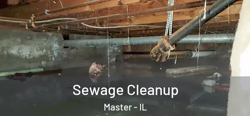 Sewage Cleanup Master - IL